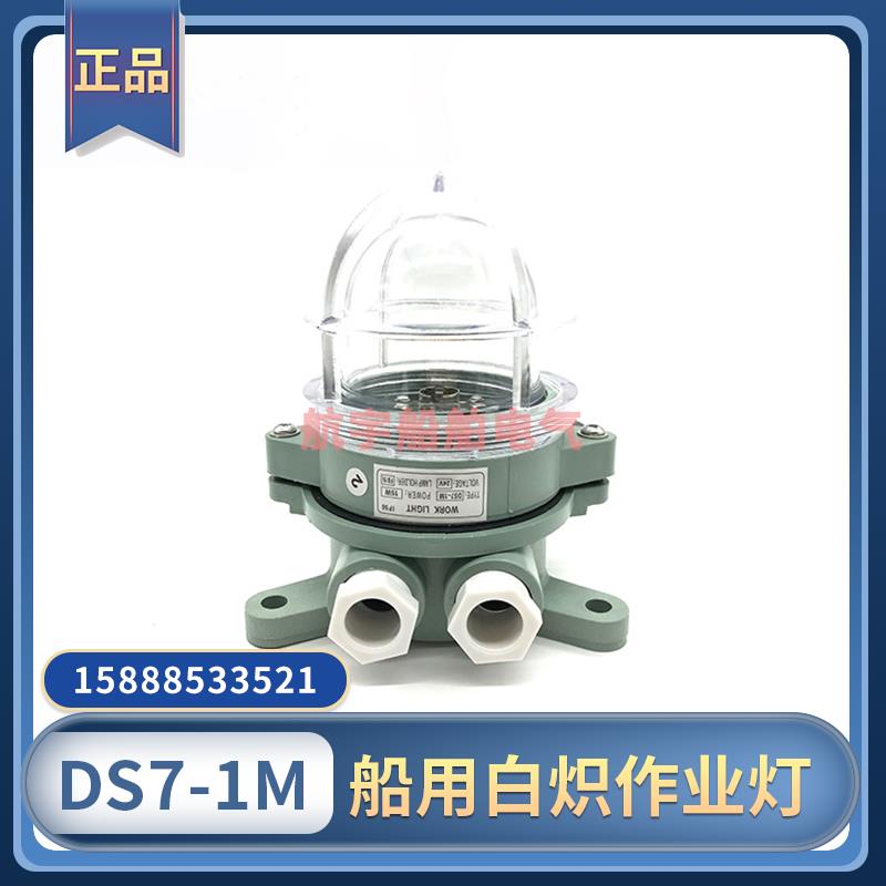 船用吸顶式水密白炽作业灯DS7-1M树脂防水甲板照明舱顶灯24V15W