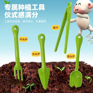 观儿童11628科学种察菜实验室套装植种子发芽长盆栽小学生生生态