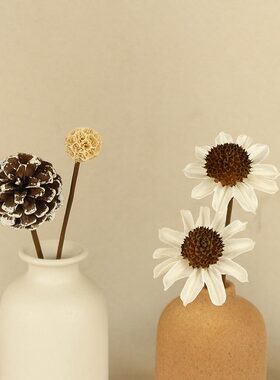 客厅装饰摆件陈列架壁柜电视柜宅寂风H民宿日系治愈小摆件家居饰