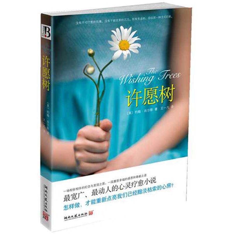 【正版包邮】 许愿树 （美）肖尔斯 著 王一凡 译 湖南文艺出版社