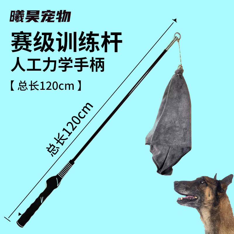 马犬逗引杆棒全犬挑德牧