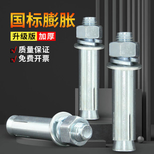 速发镀标国大膨胀螺丝加长外膨胀螺栓拉爆螺丝气支架胀钉锌头膨胀