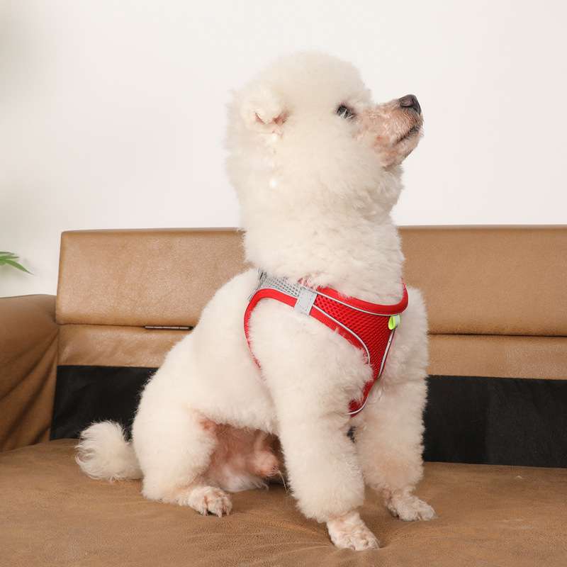 狗狗猫咪牵引绳背心式中小型犬幼犬猫咪胸背带泰迪遛狗绳链子比熊