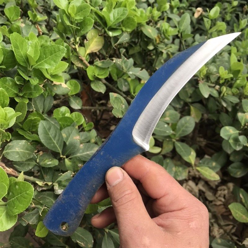 仙人掌嫁接刀锋钢k嫁接刀蟹爪兰嫁接小花材 叶仙 火龙果 仙人掌用,鲜花速递/花卉仿真/绿植园艺,芽接刀,淘宝优惠券,粉丝福利购,淘宝优惠卷