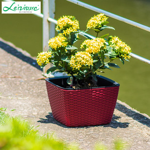 莱之秀创意阳台桌面懒人花盆 藤编塑料自动吸水花盆家.用绿萝花盆