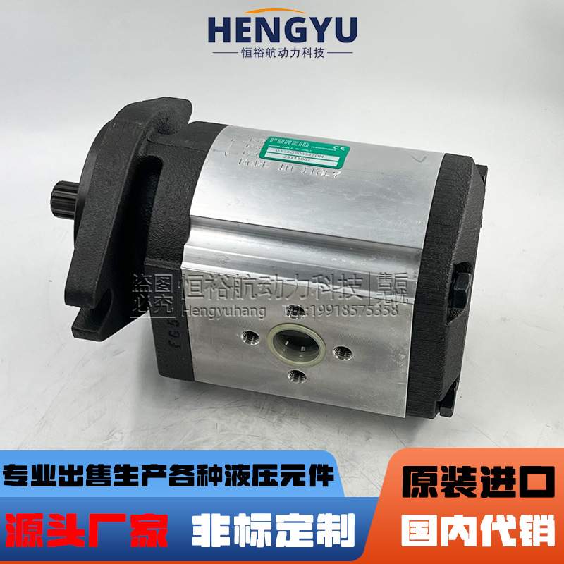 罗茨液压泵RONZIO齿轮泵03ZBG90B347DN 03ZBG50L348D 03ZAG30Q064