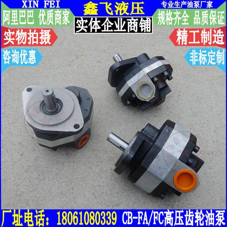 CB-FC10FC16FC20FC25FC31.5FC32FC40高压齿轮油泵FL液压泵