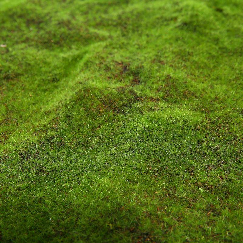 植毛石皮仿真草皮草坪植物苔藓仿真植物墙景草坪外贸单