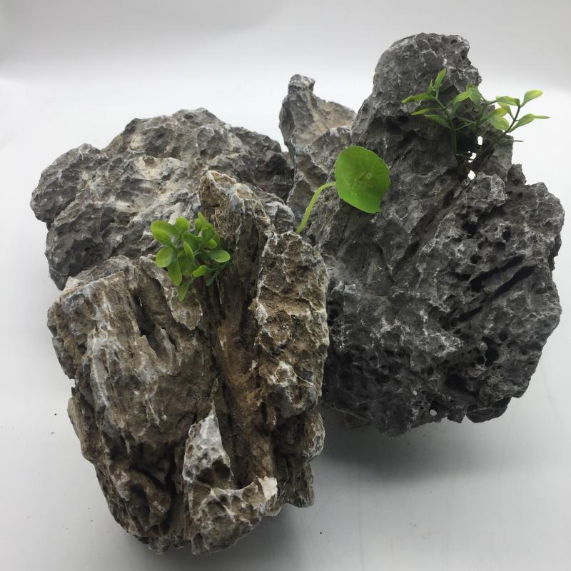 景观石青龙石小块造景石 园林景观假山青石原石 微景观造景石图片