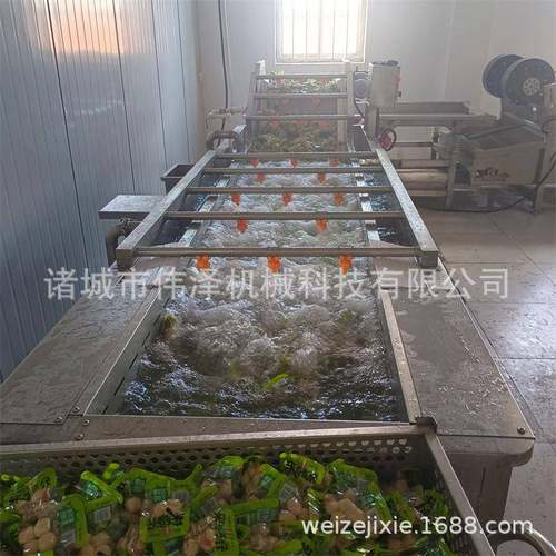 软包装食品清洗机伟泽气泡清洗机厂家大枣自动提升清洗机现货
