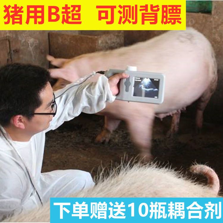 便携式猪用b超机羊用高清
