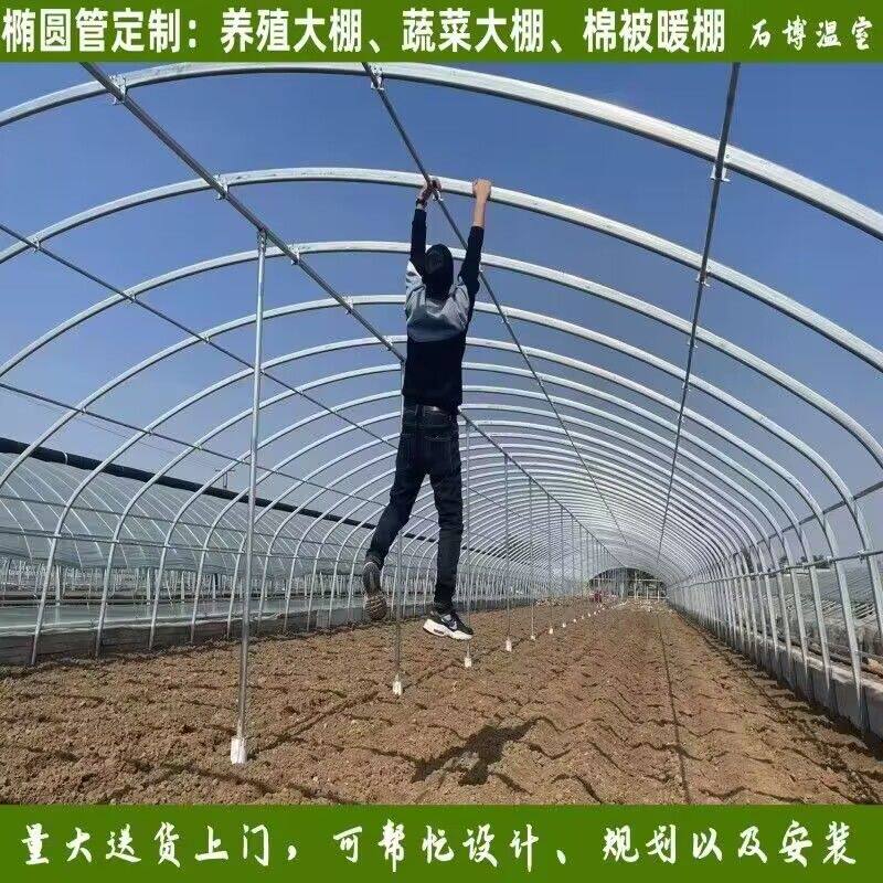 家用椭圆管蔬菜镀锌钢管