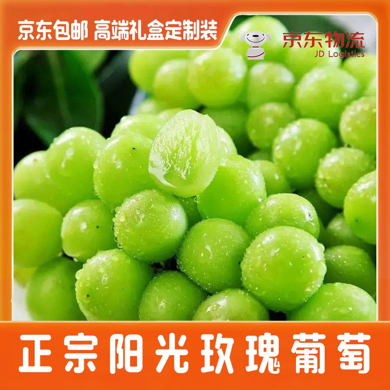 新鲜应季阳光玫瑰葡萄新鲜水果无葡萄/提子