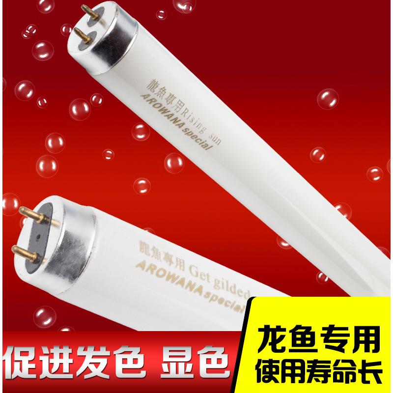 御龙国际龙鱼专用灯管红龙金龙 红尾金专用灯管水中灯专用T9灯管