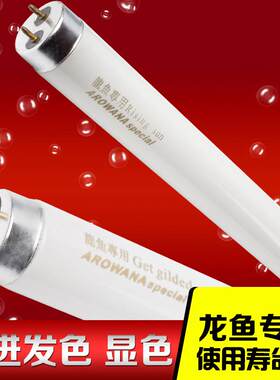 御龙国际龙鱼专用灯管红龙金龙 红尾金专用灯管水中灯专用T9灯管