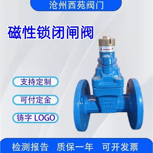 球墨铸铁材质软密封法兰磁性锁闭闸阀JMZ45X 水利工程专业设备