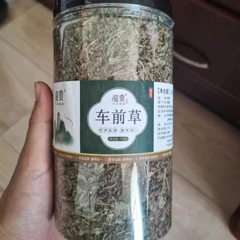 【优选】车前草中药材500g新鲜干货泡水喝袋泡茶野生干金钱草蒲