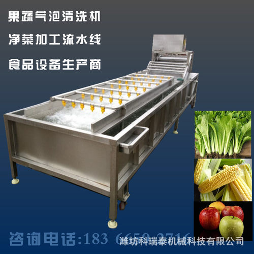 气泡清洗机 水果蔬菜自动清洗线 多功能果蔬喷淋式清洗设备