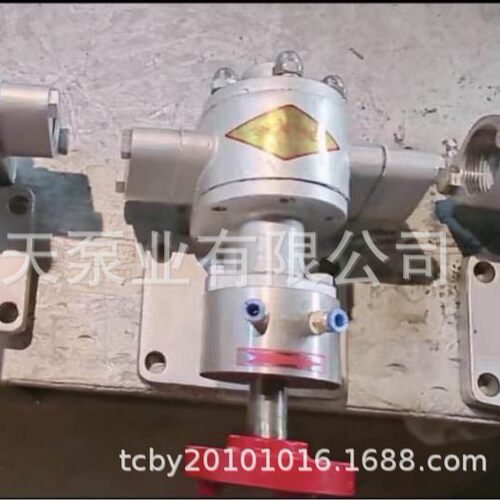 水冷密封齿轮泵TDCS 柴油机油 沥青高温油 胶水聚氨酯 稠油齿轮泵