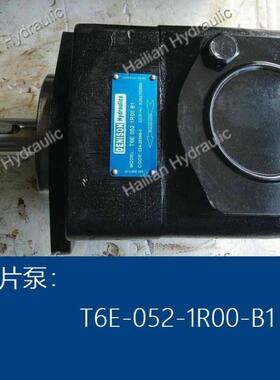 T6E-052-1R00-B1船舶液压泵叶片泵vane pump