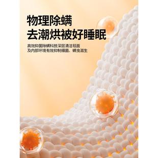 除绿萌电热褥毯家双用人双控加热智能控28668温螨单人宿舍学生电