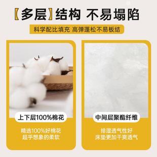 安6363睡宝A类床垫抑菌防螨亲肤透宿舍人生多功能床气垫学双单人