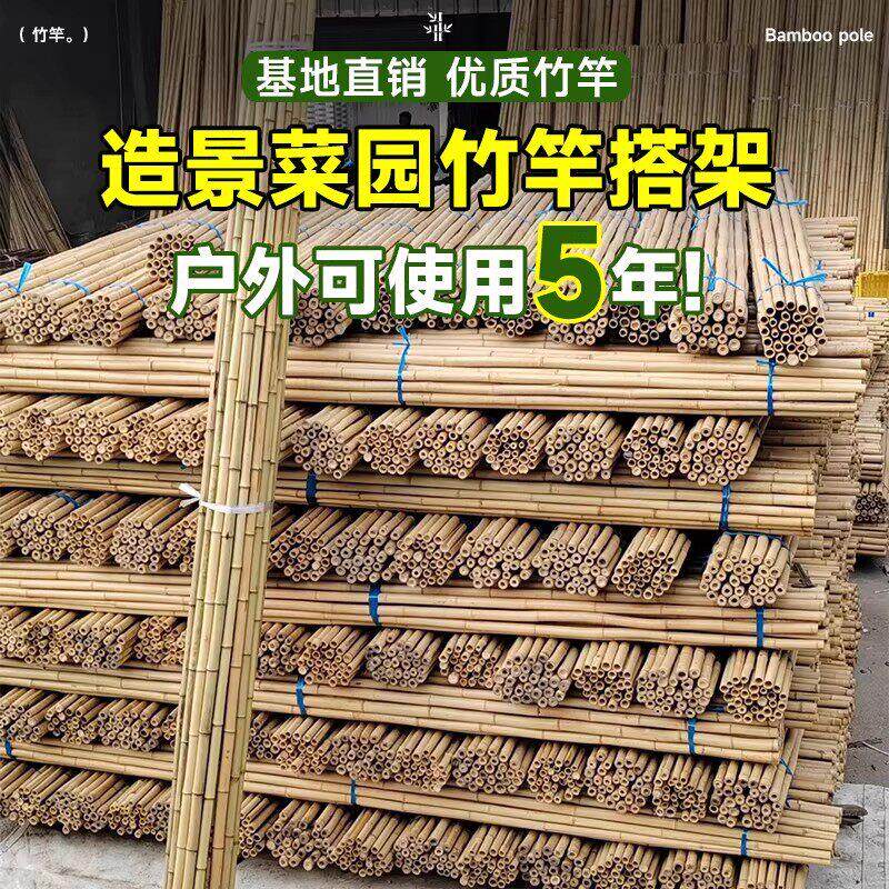 豆角架竹竿菜园搭架爬藤架葡萄架竹子细竹竿篱HJ7454笆栅栏杆小旗
