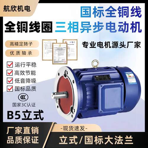 B5立YE3式电标机380V三相机铜芯2//46极国全铜电小型三相异步电动