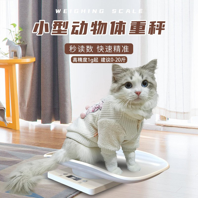 速发称称重器小动物克重电家秤幼咪小型猫用体称子用