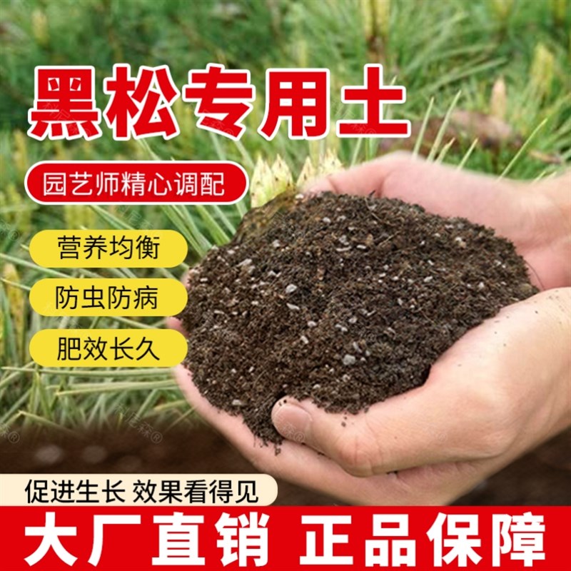 速发黑松土植料室内绿肥种植花盆黑土园艺盆栽土椰黑松营养土壤砖