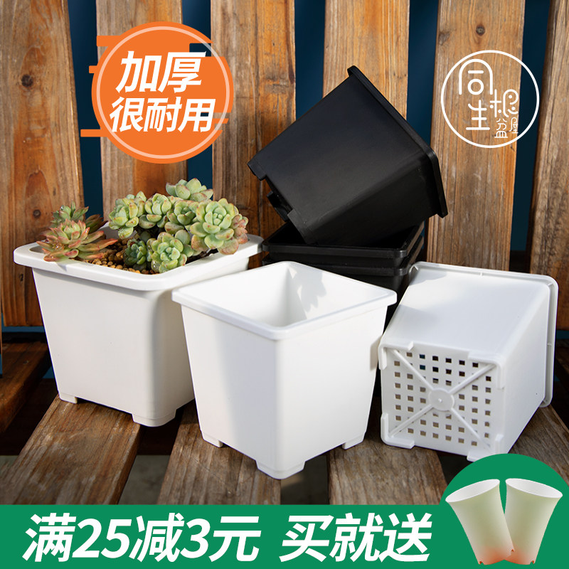 速发多肉花盆景天小方塑大号老球韩式仙人桩多肉小白方盆料小黑方