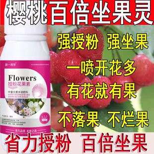 速发樱桃专用授粉药授粉座保精授粉素果素防落花果花保果素沾花素