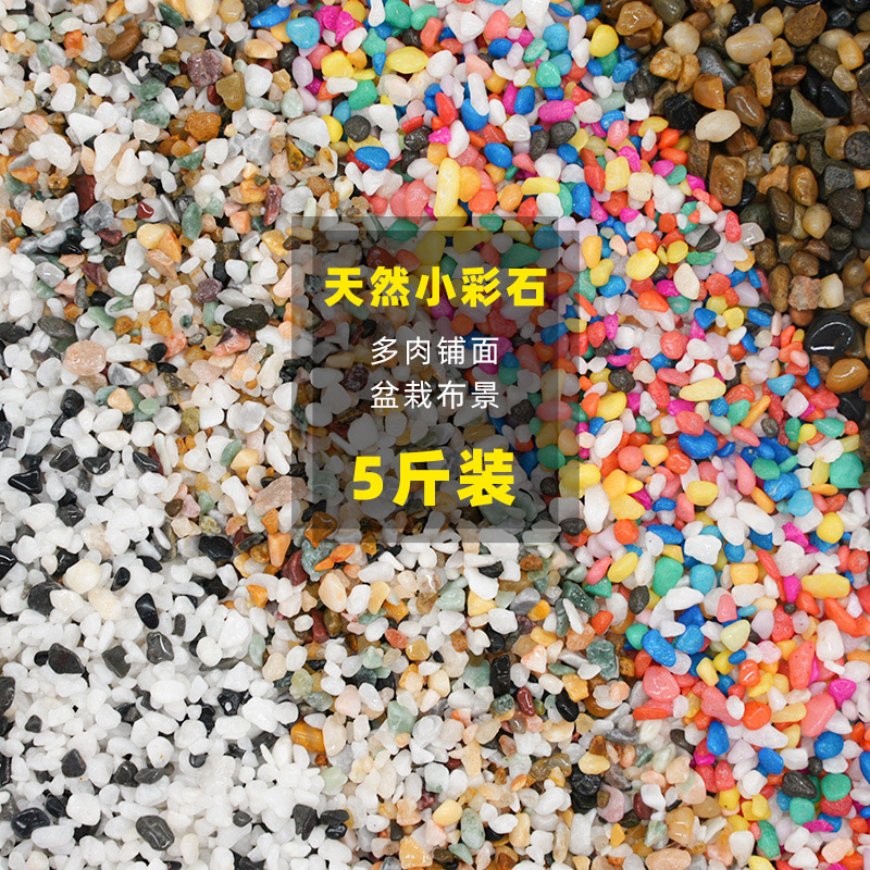 速发1斤卵面小石头鹅铺石小鱼缸花盆透气装饰多肉彩色小石子彩石
