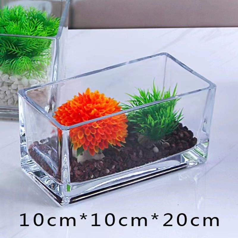 速发新疆花邮水培植物长方形玻璃透瓶花明绿萝睡莲水养包盆器皿容