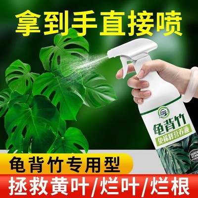 现货速发免稀释龟背竹营养液肥料龟背竹琴叶榕绿植盆栽植物通用