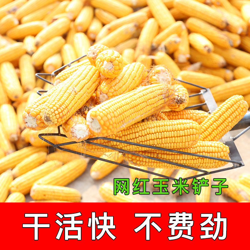 速发玉米漏子农子花生叉土铲用囤苞米棒子工具焊接尖头圆头平头锹
