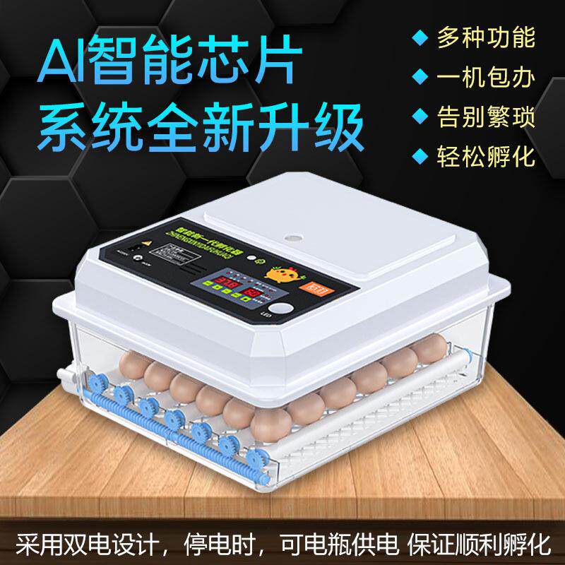 现货可做英文110-240V孵化机C全自动小型孵化器智能孵化箱孵蛋器