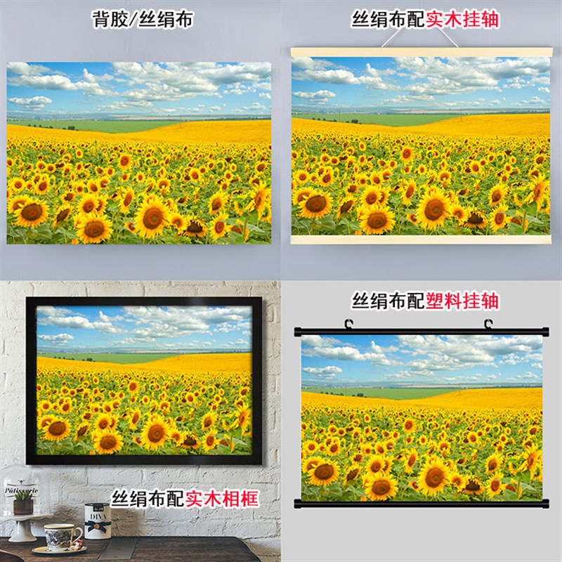 速发向日葵背景墙贴图装饰挂画太花玻璃贴纸风景花卉海报向花图片