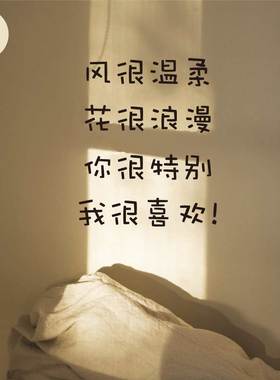 速发艺文风花店奶茶咖啡店玻璃橱窗门墙空镂面装饰卧室客厅墙面贴