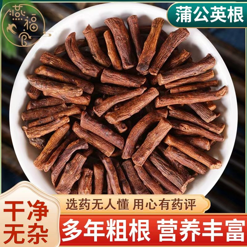 长白山蒲公英根茶中药材正品特级野生蒲公英根炒熟无硫干货泡茶水