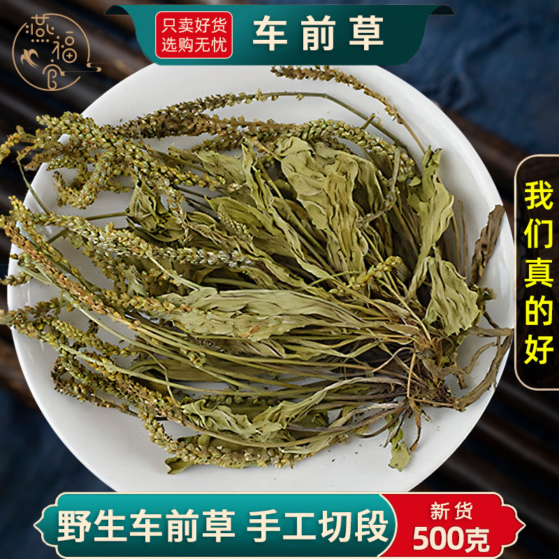 野生车前草中药材正品官方旗舰店水洗车前草干货猪耳朵秧平车前草