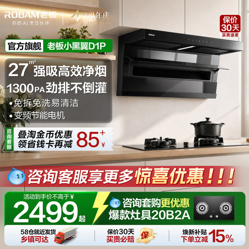 【咨询领优惠】老板小黑翼D1P