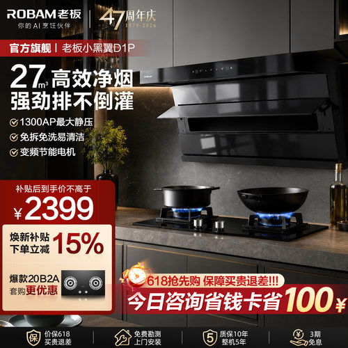 【咨询领优惠】老板小黑翼D1P