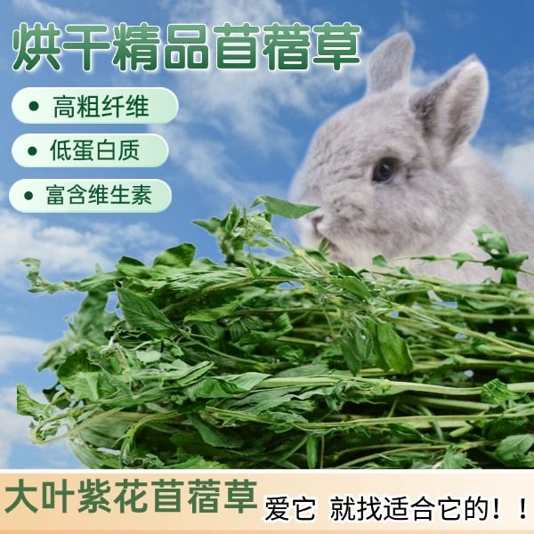 烘干紫花苜蓿草归乡提宠物兔子草荷兰猪饲料龙猫饲草兔兔主草