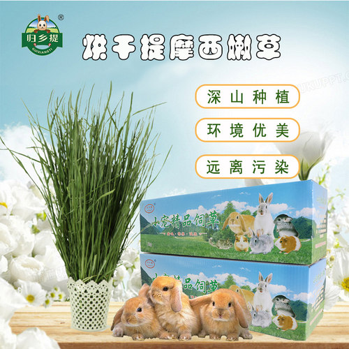 叶多杆少头茬嫩草粗纤维含量丰富