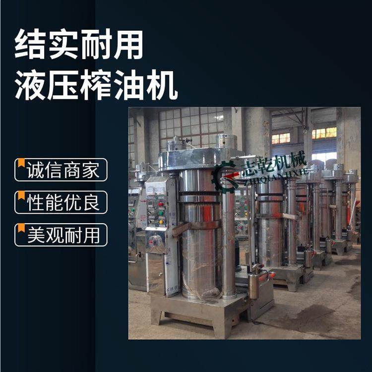 立式液压榨油机 低温压榨核桃油机器 山茶籽榨油设备 20斤香油机,农机/农具/农膜,农产品加工设备,淘宝优惠券,粉丝福利购,淘宝优惠卷