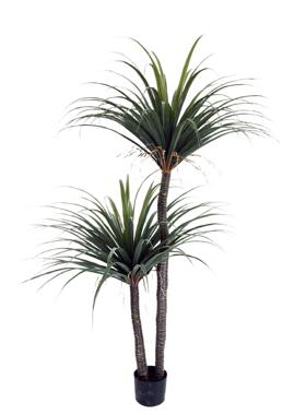 仿龙须铁树丝兰树假植橱北欧真大物型室内窗造211028景落地家居摆