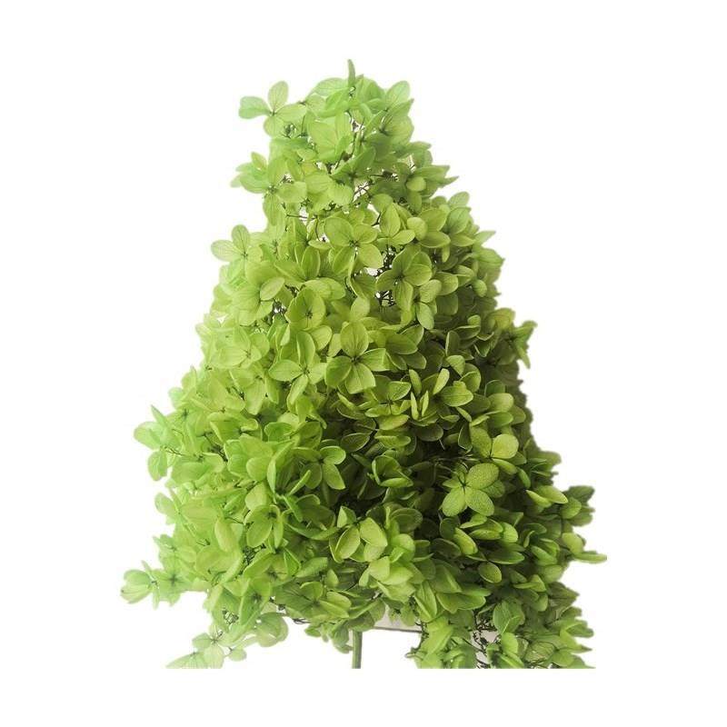 者北欧风家花居装饰干花花材单枝木绣单枝塔木绣球状永生花多色现,家居饰品,餐桌花艺,淘宝优惠券,粉丝福利购,淘宝优惠卷