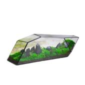 苔藓玻微景观玻花房器皿生态雨林缸造景流水植物墙花盆374鱼器璃