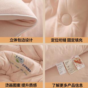 母婴级恒温云朵德加YR云朵绒绒糯厚被保暖宿舍春秋被冬被子软棉芯